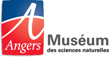 Natural Sciences Museum of Angers